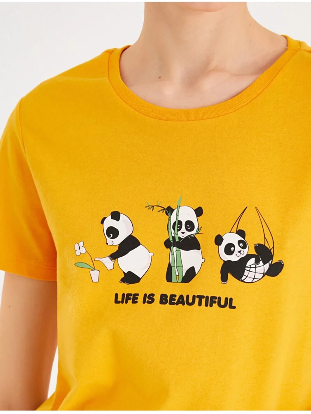 6785d36264d9b27b7b72971ef01b3dfe26b296a5